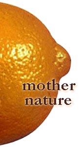 Mother Nature Orange Nipple