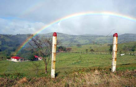 Costa Rican rainbow Central Highlands